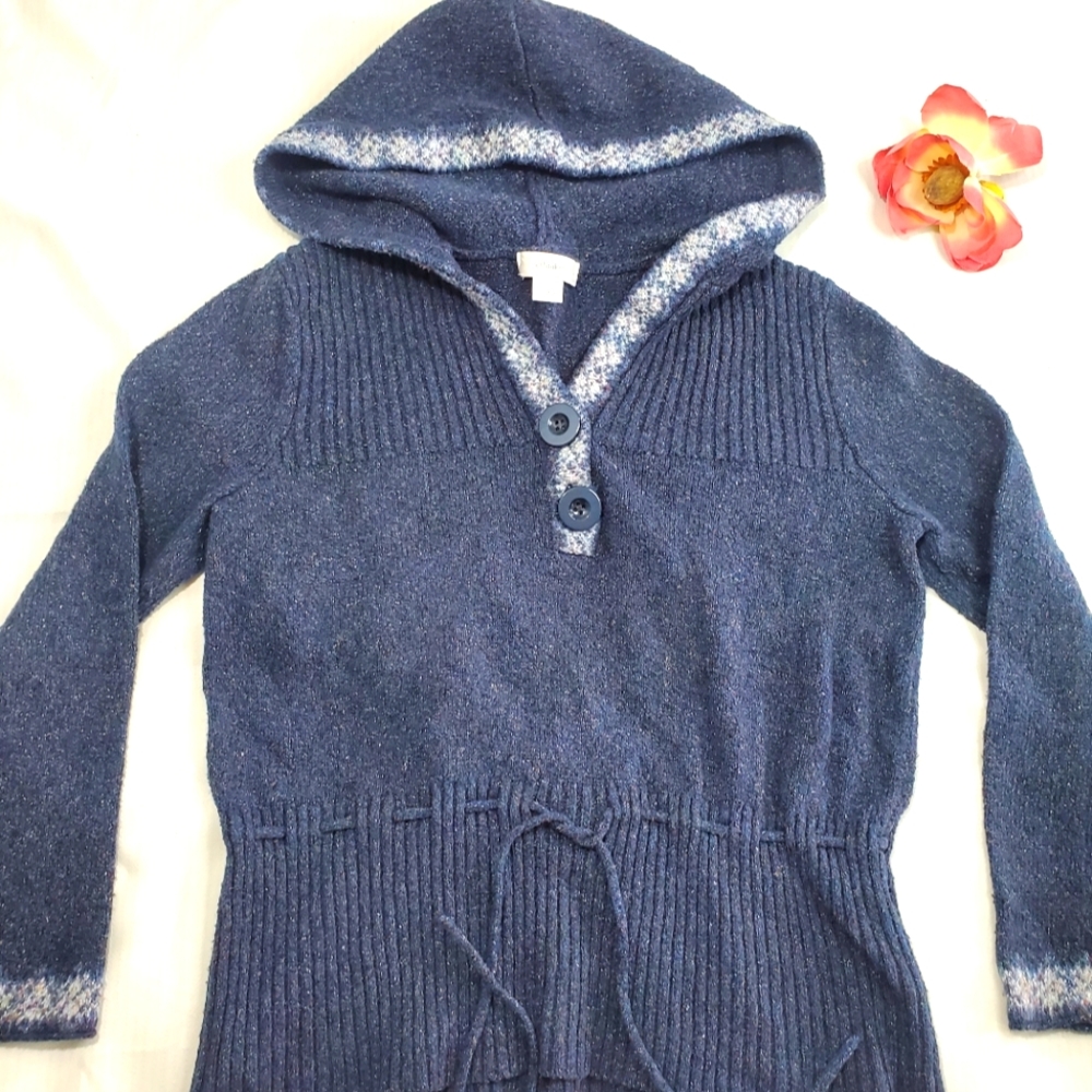 CJ Banks blue sweater